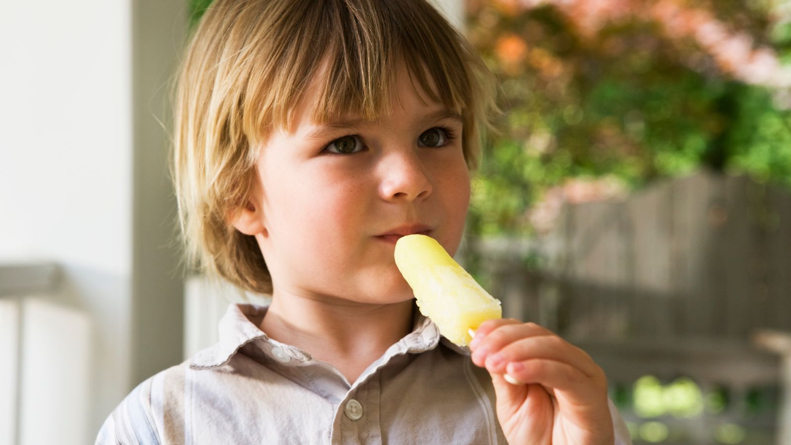 A young boy eating a Jonny pops