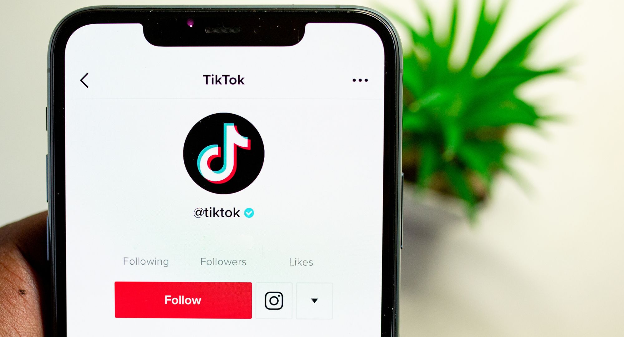 tiktok